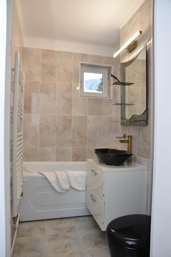 Apartment Victoria Busteni